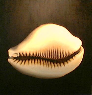 Artist Ingrid Kaufmann