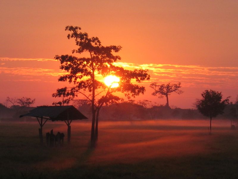 "Los Llanos Orientales of&nbsp; Colombia, South America"