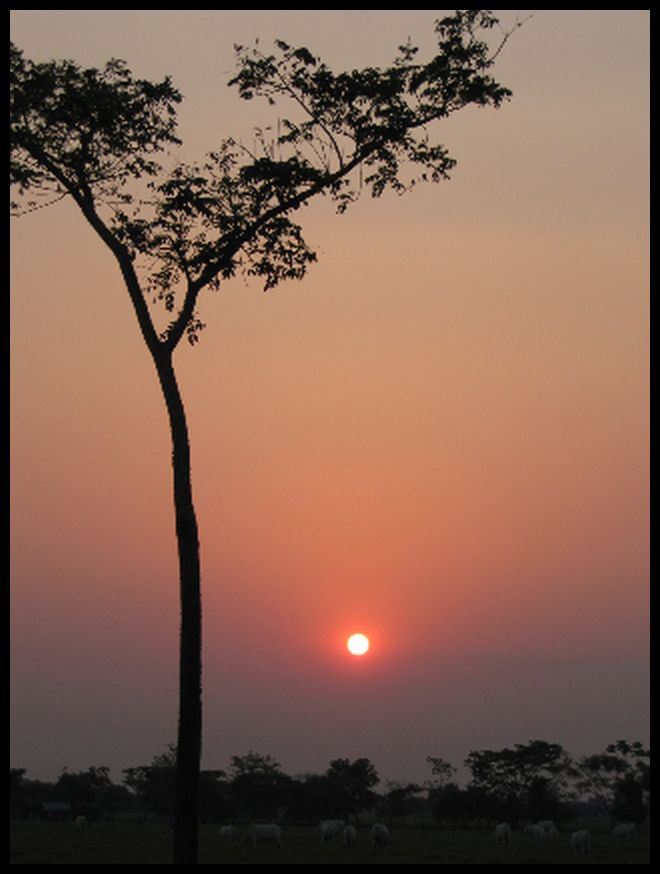 Guest photographer Ernst Luhrs